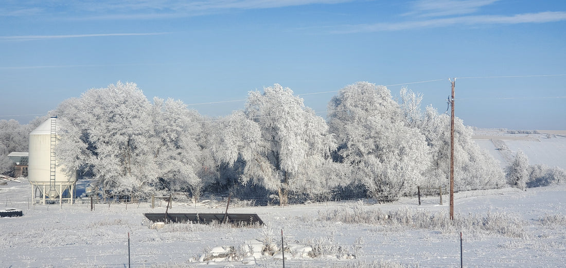 January Happenings - A Farm Girl by Tess